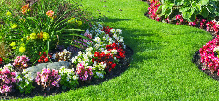 unsere marken garten